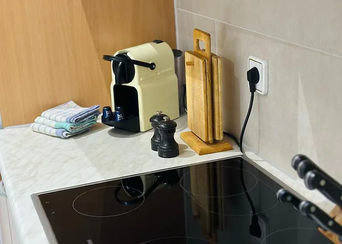 Viki's Galerie Apartman *